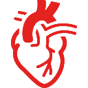 cardiologia